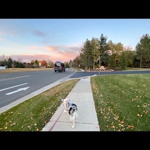 Meet your Posher, Neil